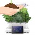 AeroGarden Harvest Touch, Black with Gourmet Herbs Seed Pod Kit   568930984